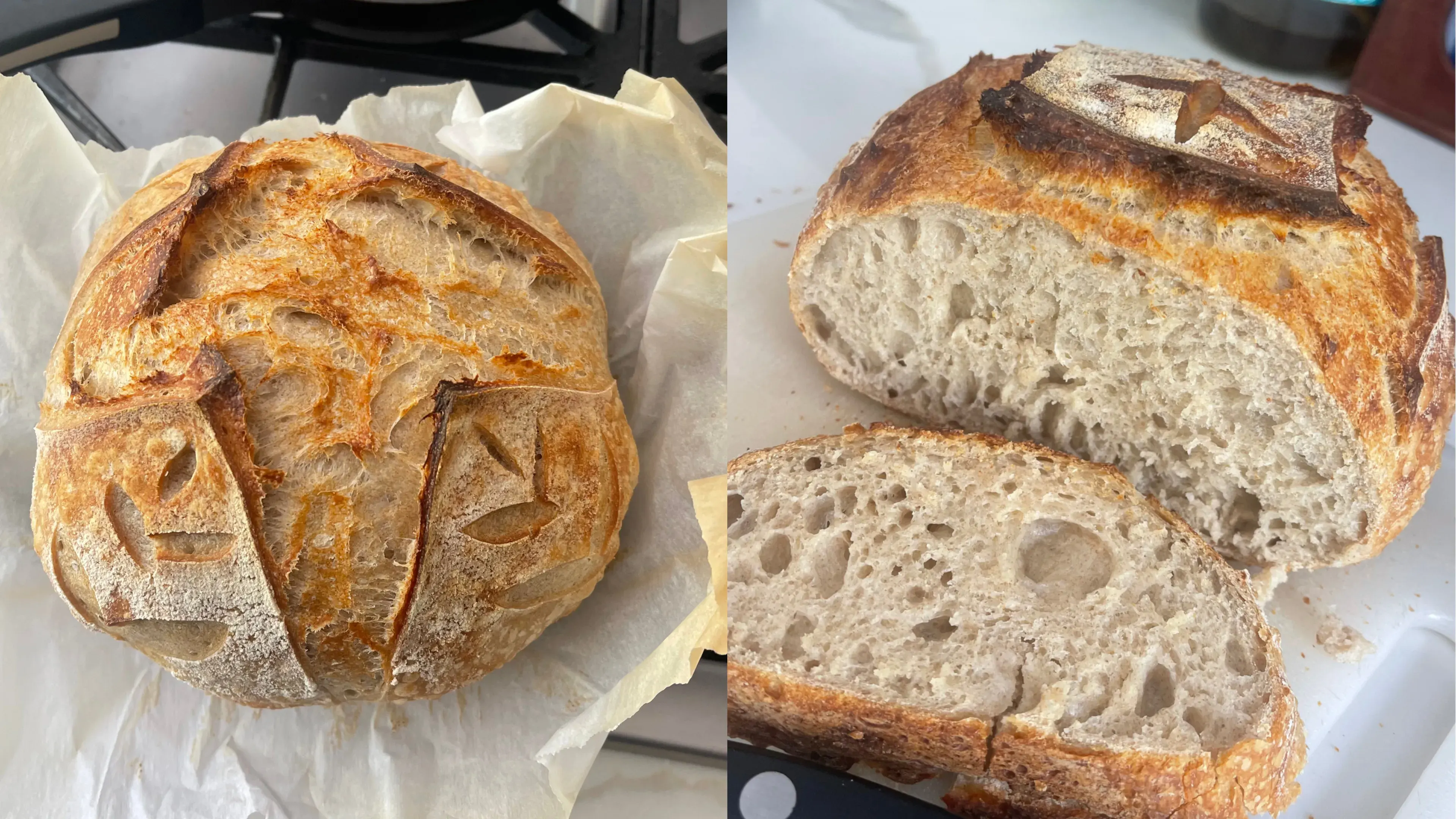 My third set of sourdough loaves